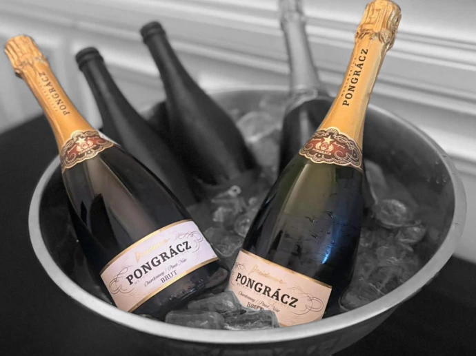 Twee flessen gekoelde champagne in een zilveren ijsemmer op een feest.
